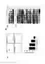Fig. 06 - PHARMACEUTICAL COMPOSITIONS FOR INHIBITING THE OSTEOCLAST DIFFERENTIATION COMPRISING EUPATILIN
