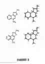 Fig. 04 - Selective activators of the intermediate conductance CA2+activated K+ channel KCa3.1 and their methods of use