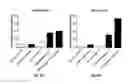 Fig. 09 - Regimens for treating and preventing lysosomal disorders and degenerative disorders of the central nervous system