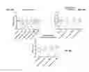 Fig. 20 - Regimens for treating and preventing lysosomal disorders and degenerative disorders of the central nervous system