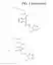Fig. 28 - Modulators of methyl modifying enzymes, compositions and uses thereof