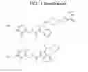 Fig. 46 - Modulators of methyl modifying enzymes, compositions and uses thereof