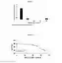Fig. 08 - Anticoagulant reversal agents