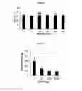 Fig. 09 - Anticoagulant reversal agents