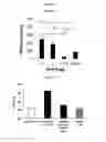 Fig. 11 - Anticoagulant reversal agents