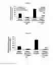 Fig. 12 - Anticoagulant reversal agents