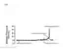 Fig. 02 - Therapeutic use of P75 receptor antagonists