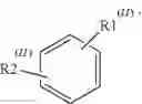 Fig. 09 - Therapeutic use of P75 receptor antagonists