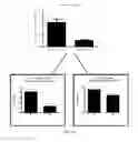 Fig. 02 - Histone deacetylase 6 inhibition for enhancing T-cell function during anti-tumor response and tumor-peptide vaccination