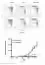 Fig. 09 - Histone deacetylase 6 inhibition for enhancing T-cell function during anti-tumor response and tumor-peptide vaccination