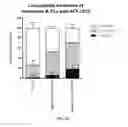 Fig. 16 - Histone deacetylase 6 inhibition for enhancing T-cell function during anti-tumor response and tumor-peptide vaccination