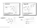 Fig. 08 - Methods and compositions for treating bacterial infection