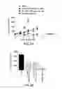 Fig. 06 - Method for treating cancer