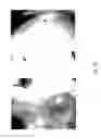 Fig. 41 - MEDICAMENT FOR TREATING PERIPHERAL NEUROPATHIES