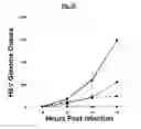 Fig. 08 - Compositions Useful for Treating Herpes Simplex Keratitis, and Methods Using Same