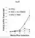 Fig. 14 - Compositions Useful for Treating Herpes Simplex Keratitis, and Methods Using Same