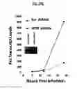 Fig. 22 - Compositions Useful for Treating Herpes Simplex Keratitis, and Methods Using Same