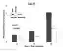 Fig. 27 - Compositions Useful for Treating Herpes Simplex Keratitis, and Methods Using Same