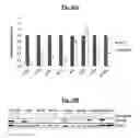 Fig. 43 - Compositions Useful for Treating Herpes Simplex Keratitis, and Methods Using Same