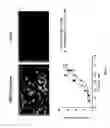 Fig. 03 - Compounds that modulate oxidative stress