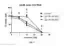 Fig. 05 - Methods and compositions comprising ursolic acid and/or resveratrol for treating diabetes, or cancer
