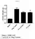 Fig. 06 - Formulations for solubilizing hormones