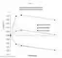 Fig. 13 - Formulations for solubilizing hormones