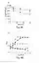 Fig. 05 - Methods and Compositions for Inhibiting Clostridium difficile Spore Germination and Outgrowth
