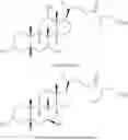 Fig. 13 - Methods and Compositions for Inhibiting Clostridium difficile Spore Germination and Outgrowth