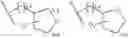 Fig. 04 - TRITERPENOIDS WITH HIV MATURATION INHIBITORY ACTIVITY