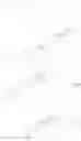Fig. 166 - TRITERPENOIDS WITH HIV MATURATION INHIBITORY ACTIVITY