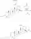 Fig. 41 - TRITERPENOIDS WITH HIV MATURATION INHIBITORY ACTIVITY