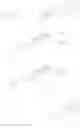 Fig. 87 - TRITERPENOIDS WITH HIV MATURATION INHIBITORY ACTIVITY