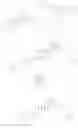 Fig. 93 - TRITERPENOIDS WITH HIV MATURATION INHIBITORY ACTIVITY