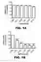 Fig. 02 - Compositions and methods for inhibiting antiapoptotic Bcl-2 proteins as anti-aging agents