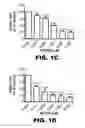 Fig. 03 - Compositions and methods for inhibiting antiapoptotic Bcl-2 proteins as anti-aging agents