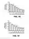 Fig. 04 - Compositions and methods for inhibiting antiapoptotic Bcl-2 proteins as anti-aging agents