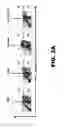 Fig. 07 - Compositions and methods for inhibiting antiapoptotic Bcl-2 proteins as anti-aging agents