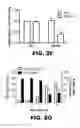 Fig. 10 - Compositions and methods for inhibiting antiapoptotic Bcl-2 proteins as anti-aging agents