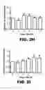 Fig. 11 - Compositions and methods for inhibiting antiapoptotic Bcl-2 proteins as anti-aging agents
