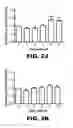 Fig. 12 - Compositions and methods for inhibiting antiapoptotic Bcl-2 proteins as anti-aging agents