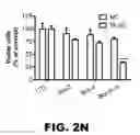 Fig. 14 - Compositions and methods for inhibiting antiapoptotic Bcl-2 proteins as anti-aging agents