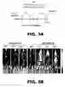 Fig. 15 - Compositions and methods for inhibiting antiapoptotic Bcl-2 proteins as anti-aging agents