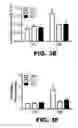 Fig. 17 - Compositions and methods for inhibiting antiapoptotic Bcl-2 proteins as anti-aging agents