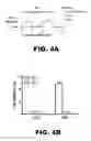Fig. 20 - Compositions and methods for inhibiting antiapoptotic Bcl-2 proteins as anti-aging agents