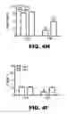 Fig. 24 - Compositions and methods for inhibiting antiapoptotic Bcl-2 proteins as anti-aging agents