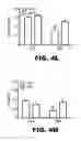 Fig. 26 - Compositions and methods for inhibiting antiapoptotic Bcl-2 proteins as anti-aging agents
