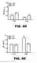 Fig. 27 - Compositions and methods for inhibiting antiapoptotic Bcl-2 proteins as anti-aging agents