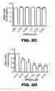 Fig. 31 - Compositions and methods for inhibiting antiapoptotic Bcl-2 proteins as anti-aging agents