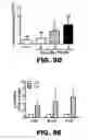 Fig. 37 - Compositions and methods for inhibiting antiapoptotic Bcl-2 proteins as anti-aging agents
